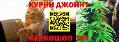 стаф Кулебаки