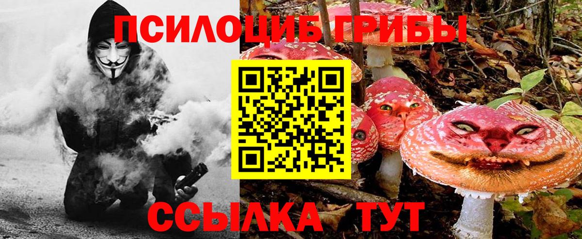 Галлюциногенные грибы прущие грибы  Вход с VPN  Димитровград 