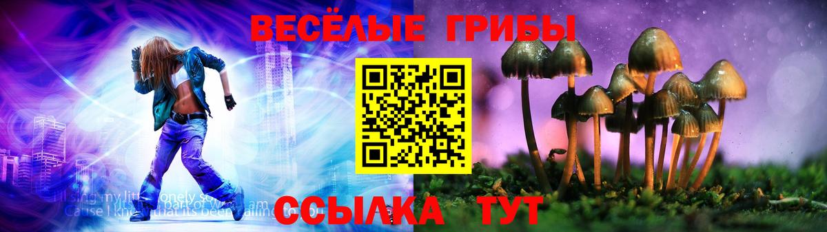 Галлюциногенные грибы Psilocybine cubensis Димитровград
